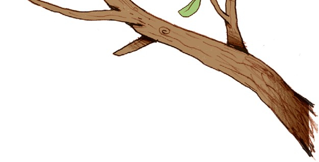 Иллюстрация к книге — День экспериментов бабушки Хильды [i_005.jpg]