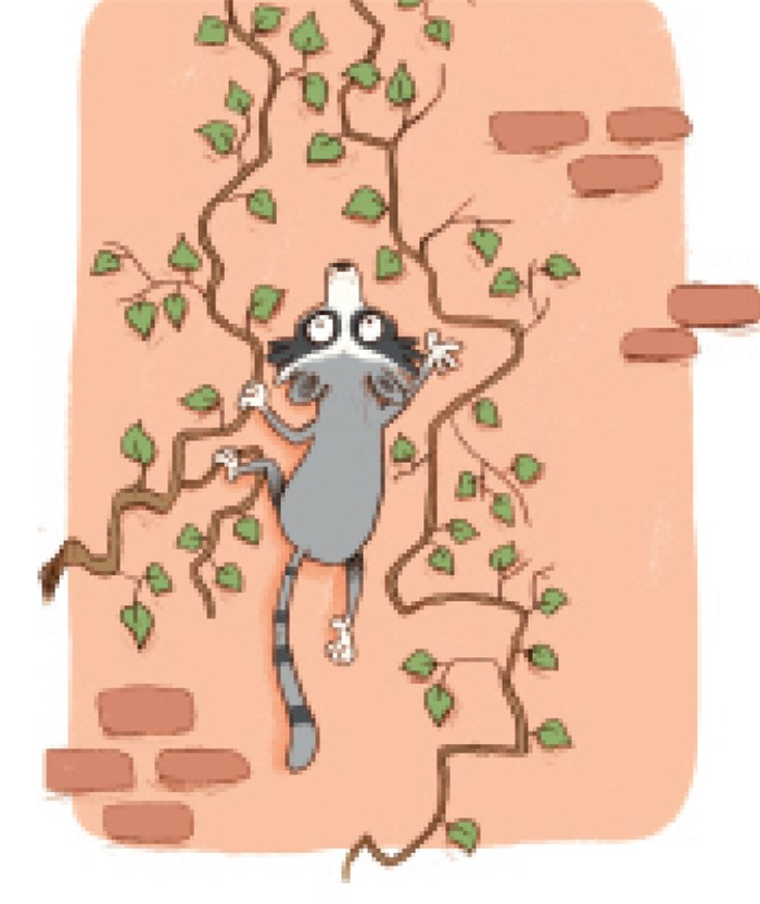 Иллюстрация к книге — День экспериментов бабушки Хильды [i_021.jpg]