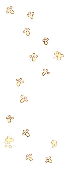 Иллюстрация к книге — День экспериментов бабушки Хильды [i_042.jpg]