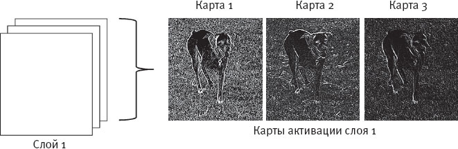 Иллюстрация к книге — Идиот или гений? Как работает и на что способен искусственный интеллект [i_012.jpg]