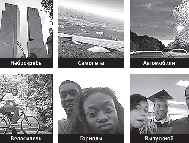 Иллюстрация к книге — Идиот или гений? Как работает и на что способен искусственный интеллект [i_017.jpg]