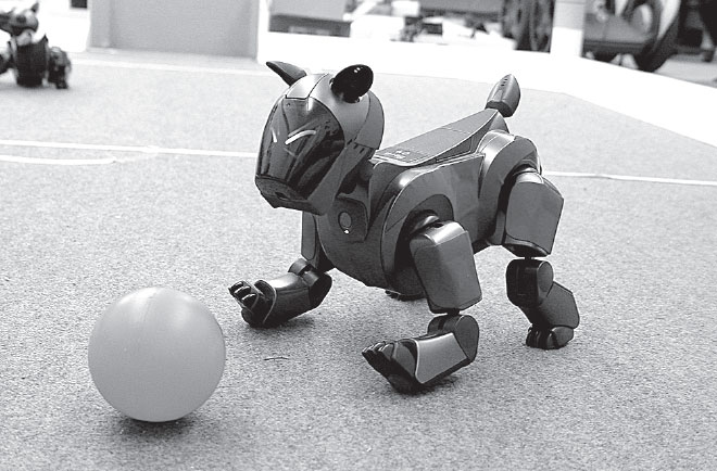 Иллюстрация к книге — Идиот или гений? Как работает и на что способен искусственный интеллект [i_023.jpg]