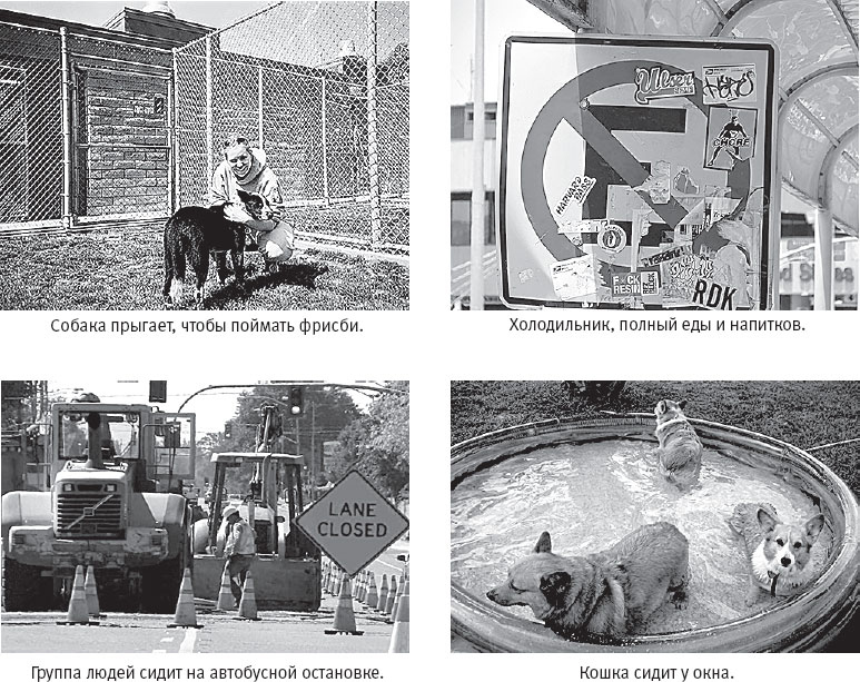 Иллюстрация к книге — Идиот или гений? Как работает и на что способен искусственный интеллект [i_043.jpg]