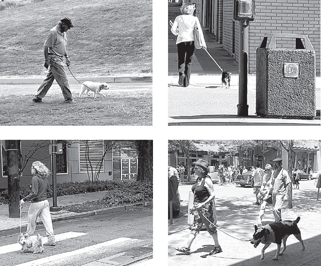 Иллюстрация к книге — Идиот или гений? Как работает и на что способен искусственный интеллект [i_049.jpg]