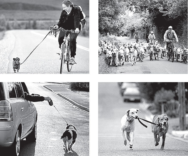 Иллюстрация к книге — Идиот или гений? Как работает и на что способен искусственный интеллект [i_050.jpg]