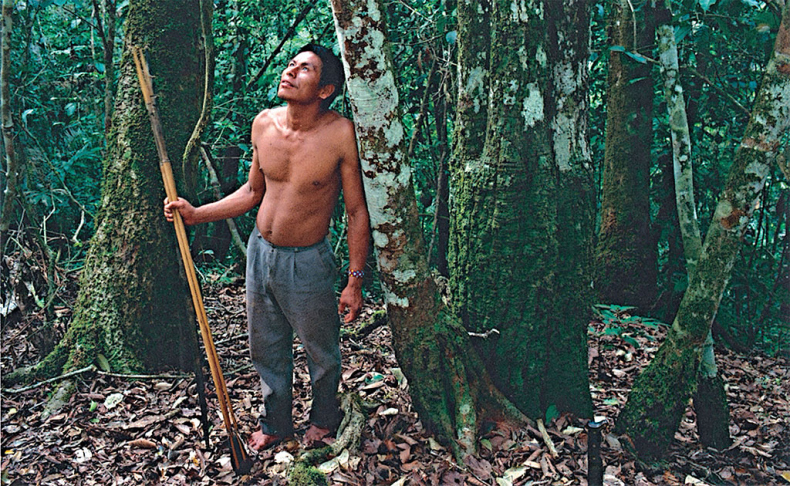 Иллюстрация к книге — Приключения среди муравьев. Путешествие по земному шару с триллионами суперорганизмов [i_036.jpg]