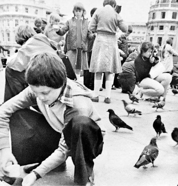 Иллюстрация к книге — Англия. Глазами воронов [image3.jpg]