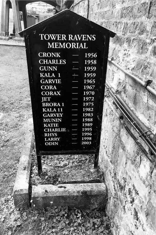 Иллюстрация к книге — Англия. Глазами воронов [image9.jpg]