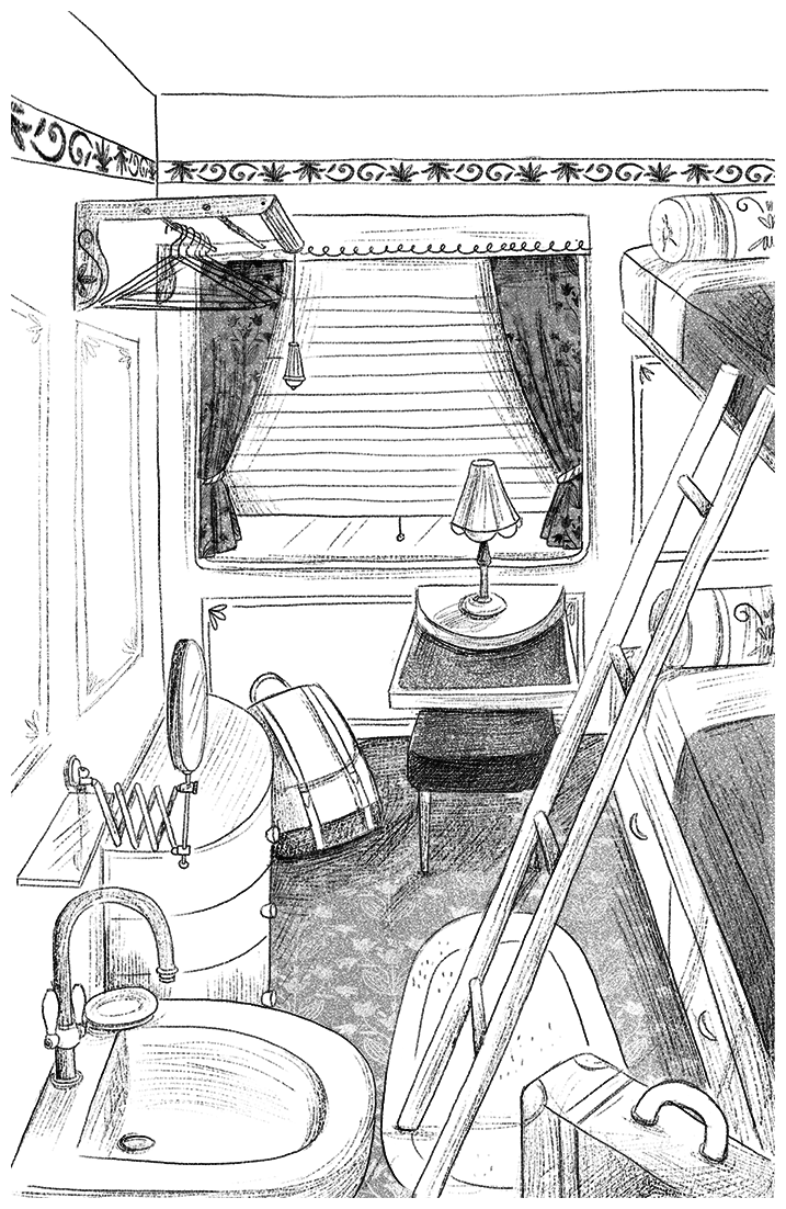 Иллюстрация к книге — Ограбление в «Шотландском соколе» [i_010.jpg]