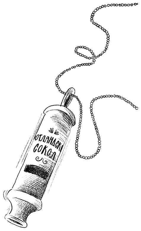 Иллюстрация к книге — Ограбление в «Шотландском соколе» [i_065.jpg]