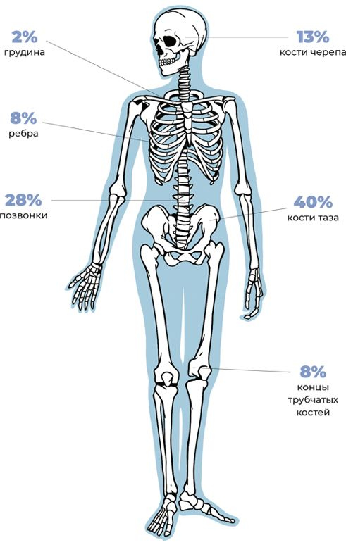 Иллюстрация к книге — Пять литров красного. Что необходимо знать о крови, ее болезнях и лечении [i_012.jpg]