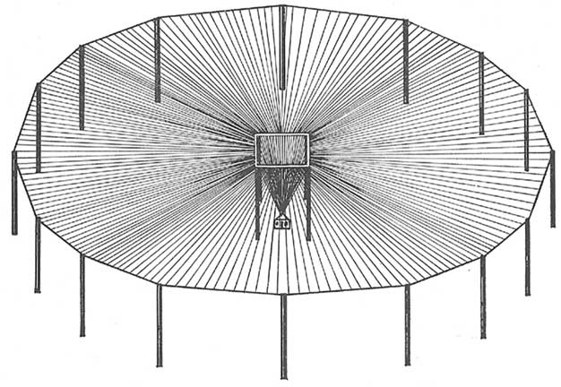 Иллюстрация к книге — Мир под напряжением. История электричества: опасности для здоровья, о которых мы ничего не знали [i_013.jpg]