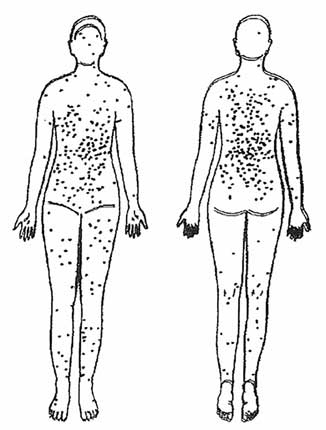 Иллюстрация к книге — Мир под напряжением. История электричества: опасности для здоровья, о которых мы ничего не знали [i_044.jpg]
