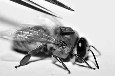 Иллюстрация к книге — Мир под напряжением. История электричества: опасности для здоровья, о которых мы ничего не знали [i_058.jpg]