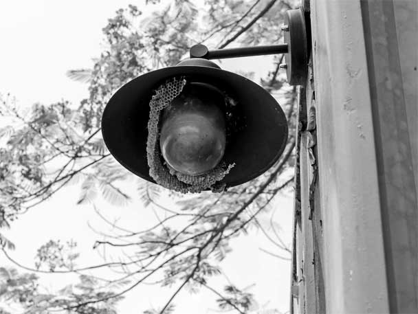 Иллюстрация к книге — Мир под напряжением. История электричества: опасности для здоровья, о которых мы ничего не знали [i_059.jpg]