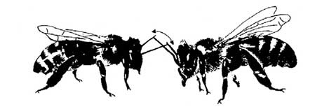 Иллюстрация к книге — Мир под напряжением. История электричества: опасности для здоровья, о которых мы ничего не знали [i_060.jpg]