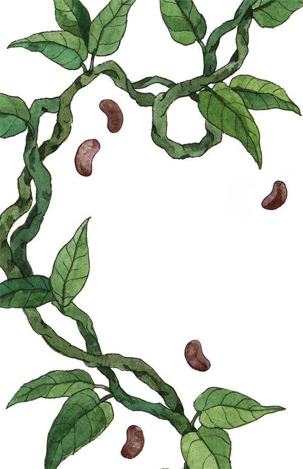 Иллюстрация к книге — Чудовища и красавицы. Опасные сказки [i_037.jpg]