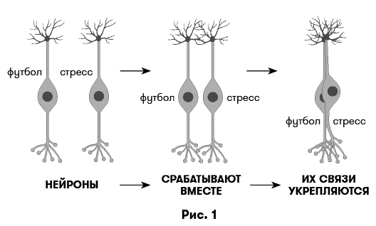 Иллюстрация к книге — Цифровая дисциплина. Воспитание здоровых привычек в мире гаджетов и соцсетей [i_001.jpg]