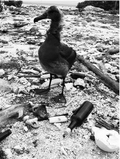 Иллюстрация к книге — В поисках смысла [i_003.jpg]