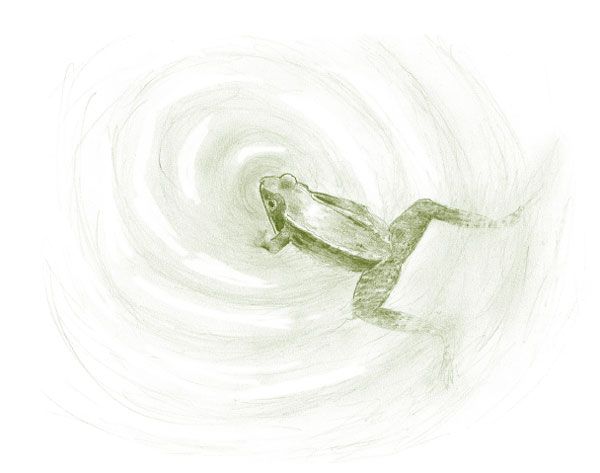 Иллюстрация к книге — Лето: Секреты выживания растений и животных в сезон изобилия [i_009.jpg]