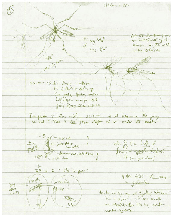 Иллюстрация к книге — Лето: Секреты выживания растений и животных в сезон изобилия [i_028.jpg]