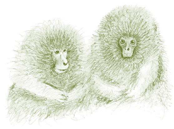 Иллюстрация к книге — Лето: Секреты выживания растений и животных в сезон изобилия [i_038.jpg]