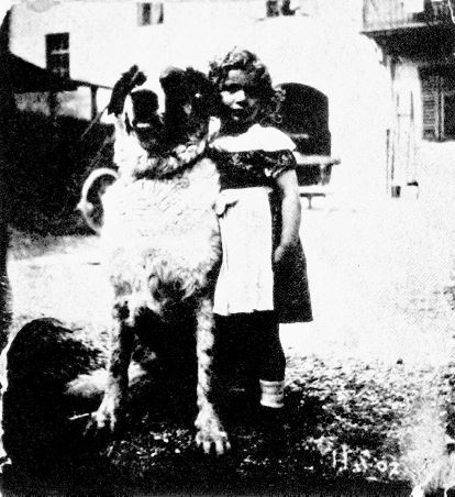 Иллюстрация к книге — Утраченное кафе «У Шиндлеров». История Холокоста и судьба одной австро-венгерской семьи [i_016.jpg]