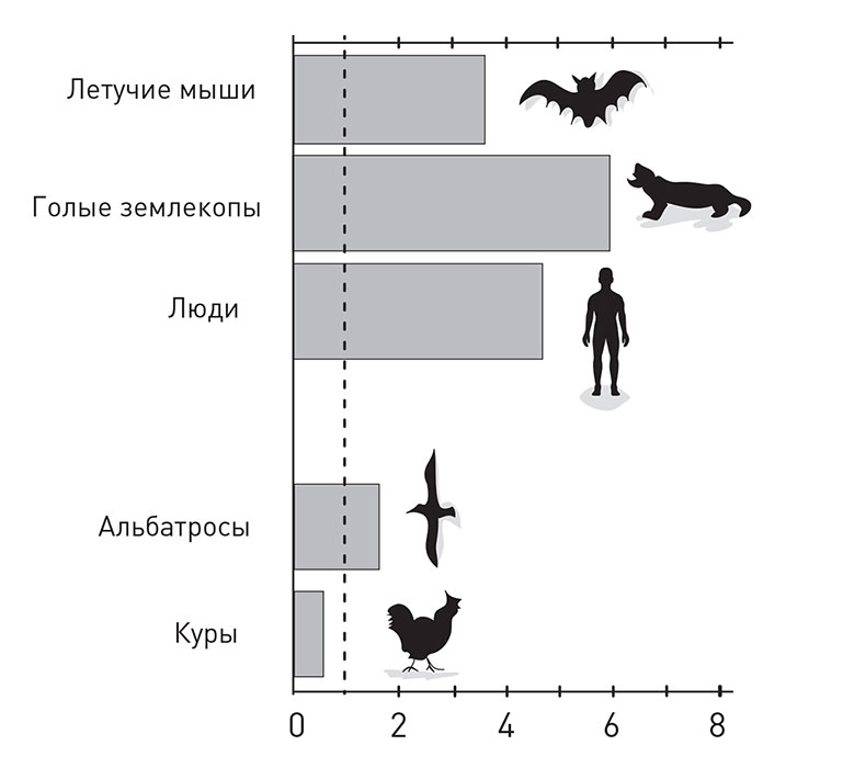 Иллюстрация к книге — Кодекс долголетия. Что заставляет нас стареть, зачем это нужно и как «обмануть» эволюцию: пошаговое руководство [i_002.jpg]
