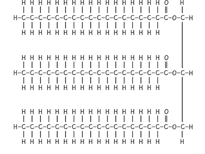 Иллюстрация к книге — Кодекс долголетия. Что заставляет нас стареть, зачем это нужно и как «обмануть» эволюцию: пошаговое руководство [i_011.jpg]