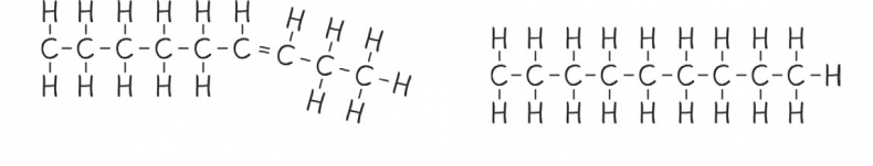 Иллюстрация к книге — Кодекс долголетия. Что заставляет нас стареть, зачем это нужно и как «обмануть» эволюцию: пошаговое руководство [i_012.jpg]
