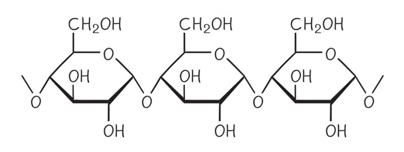 Иллюстрация к книге — Кодекс долголетия. Что заставляет нас стареть, зачем это нужно и как «обмануть» эволюцию: пошаговое руководство [i_041.jpg]