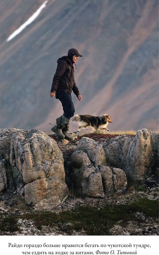 Иллюстрация к книге — Облачно, возможны косатки [i_002.jpg]