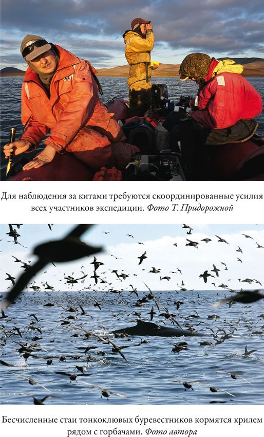 Иллюстрация к книге — Облачно, возможны косатки [i_003.jpg]