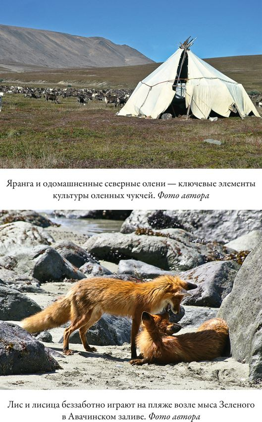 Иллюстрация к книге — Облачно, возможны косатки [i_012.jpg]