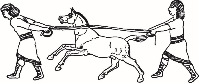 Иллюстрация к книге — Повседневная жизнь Вавилона и Ассирии. Быт, религия, культура [i_063.jpg]