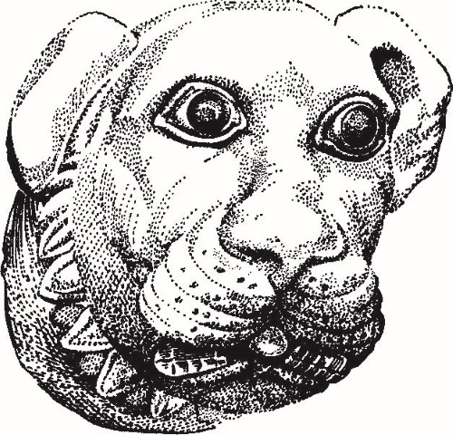 Иллюстрация к книге — Повседневная жизнь Вавилона и Ассирии. Быт, религия, культура [i_065.jpg]