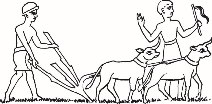 Иллюстрация к книге — Повседневная жизнь Вавилона и Ассирии. Быт, религия, культура [i_066.jpg]