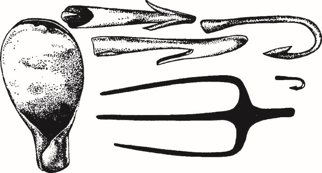 Иллюстрация к книге — Повседневная жизнь Вавилона и Ассирии. Быт, религия, культура [i_068.jpg]