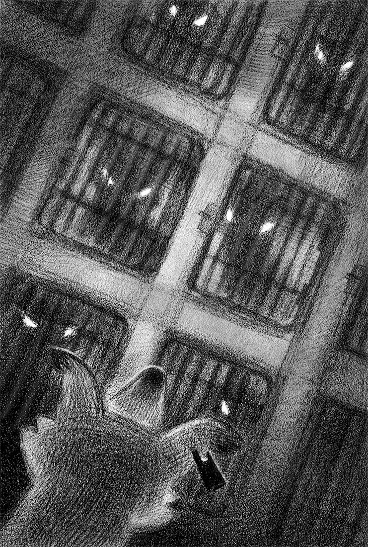 Иллюстрация к книге — Большой город [i_006.jpg]