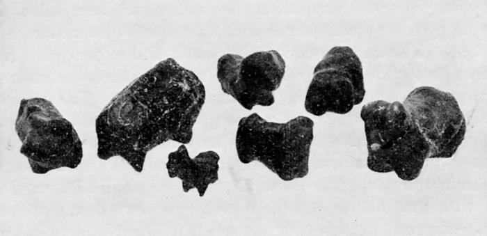 Иллюстрация к книге — История Сирии. Древнейшее государство в сердце Ближнего Востока [i_006.jpg]