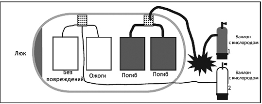 Иллюстрация к книге — Смерть в Миракл Крик [i_002.jpg]