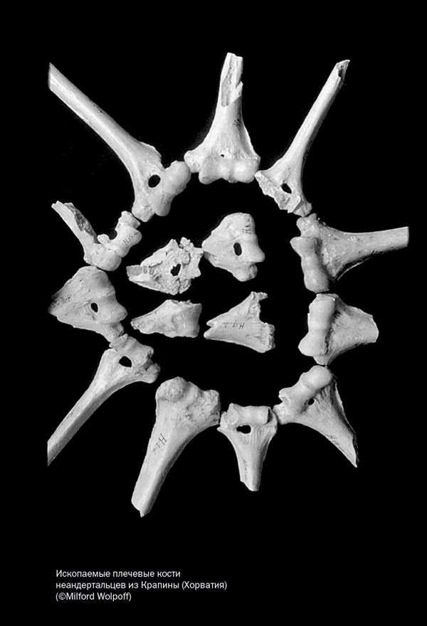 Иллюстрация к книге — Близкие контакты далеких предков. Как эволюционировал наш вид [i_003.jpg]