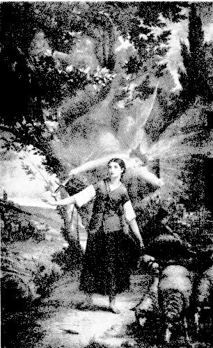 Иллюстрация к книге — История инквизиции [i_207.jpg]