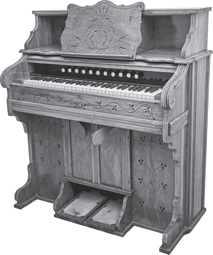 Иллюстрация к книге — Русский Зорро, или Подлинная история благородного разбойника Владимира Дубровского [i_049.jpg]