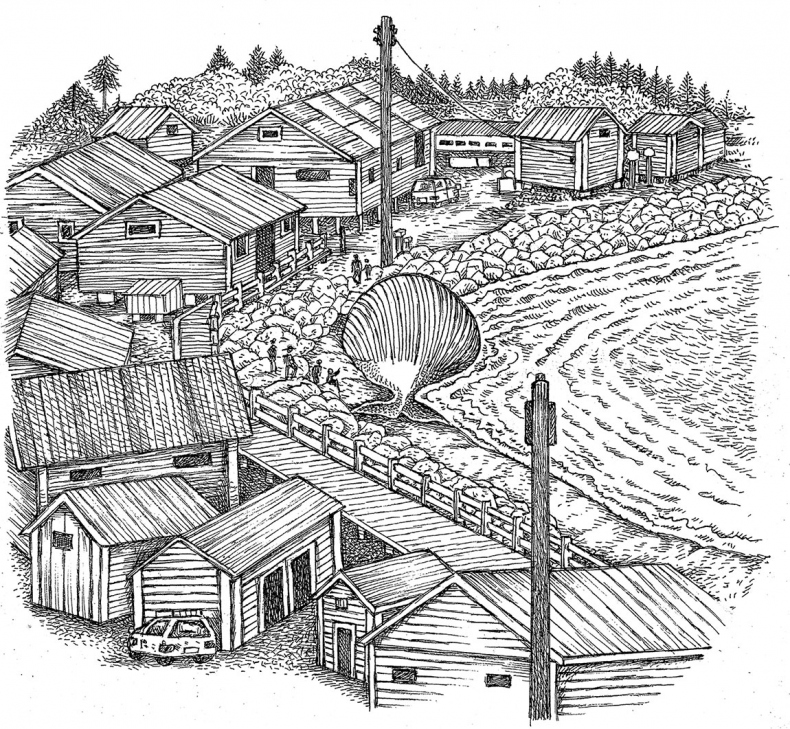 Иллюстрация к книге — Пламенный насос. Естественная история сердца [i_001.jpg]