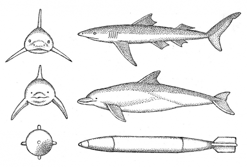Иллюстрация к книге — Пламенный насос. Естественная история сердца [i_008.jpg]
