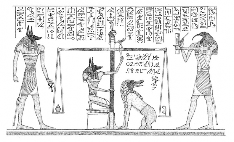 Иллюстрация к книге — Пламенный насос. Естественная история сердца [i_030.jpg]