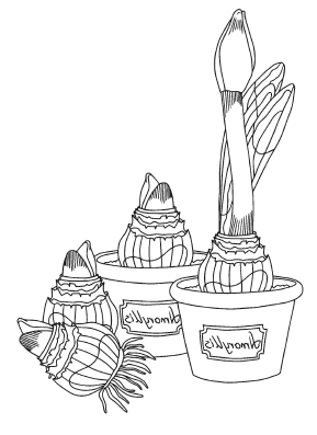 Иллюстрация к книге — Мы из Дачкино. Советы без занудства для новых дачников [i_002.jpg]