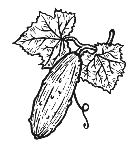 Иллюстрация к книге — Мы из Дачкино. Советы без занудства для новых дачников [i_008.jpg]