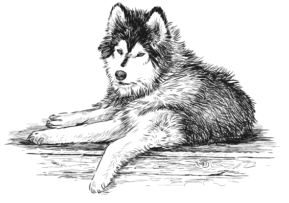 Иллюстрация к книге — Мы из Дачкино. Советы без занудства для новых дачников [i_010.jpg]